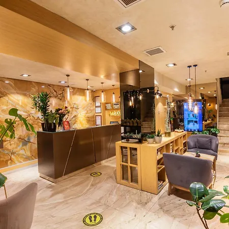 Hotel Ayramin Deluxe - Anex Istambul