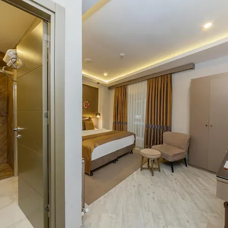 Ayramin Deluxe - Anex Istambul